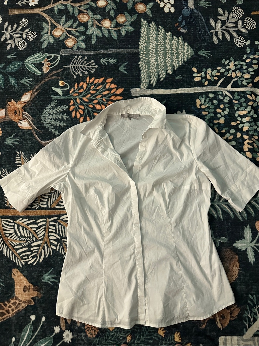 Classic White Short-Sleeve Button-Up Blouse - Women